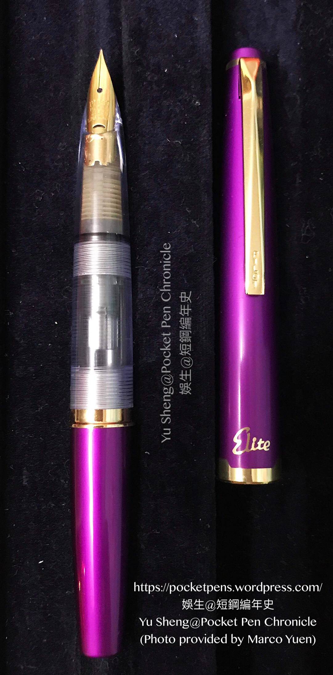 Purple KaraKara pocket pen, transparent section, gold-plated nib