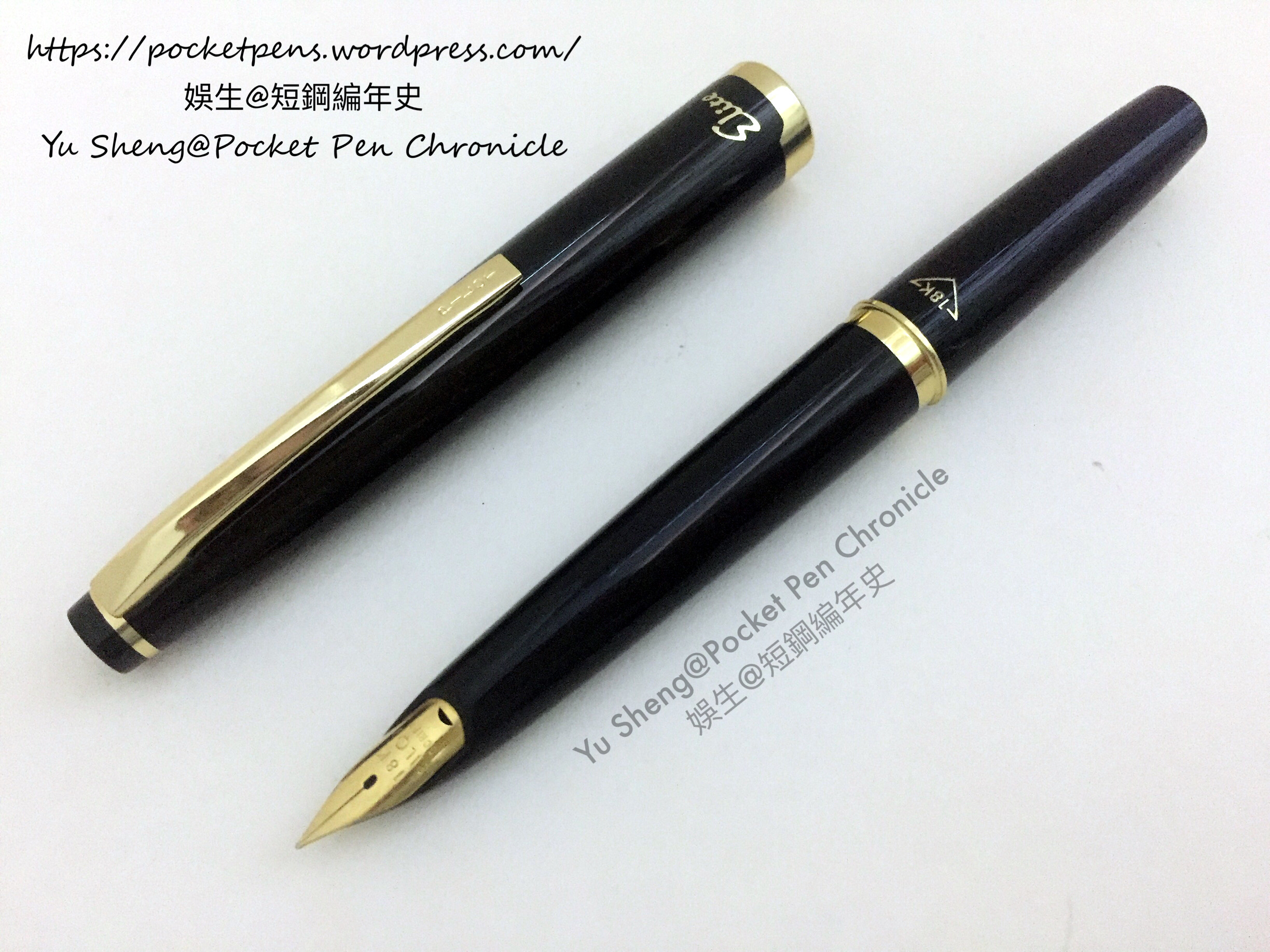 Pilot Elite S pocket pen, black, 18K-gold script nib